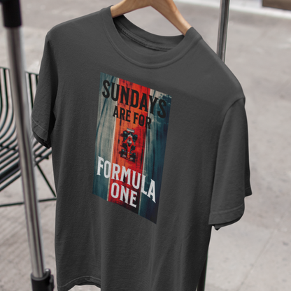 Formula 1 T-Shirt, Sundays are for Formula One, Motorsport Enthusiast Gift, F1 Gift